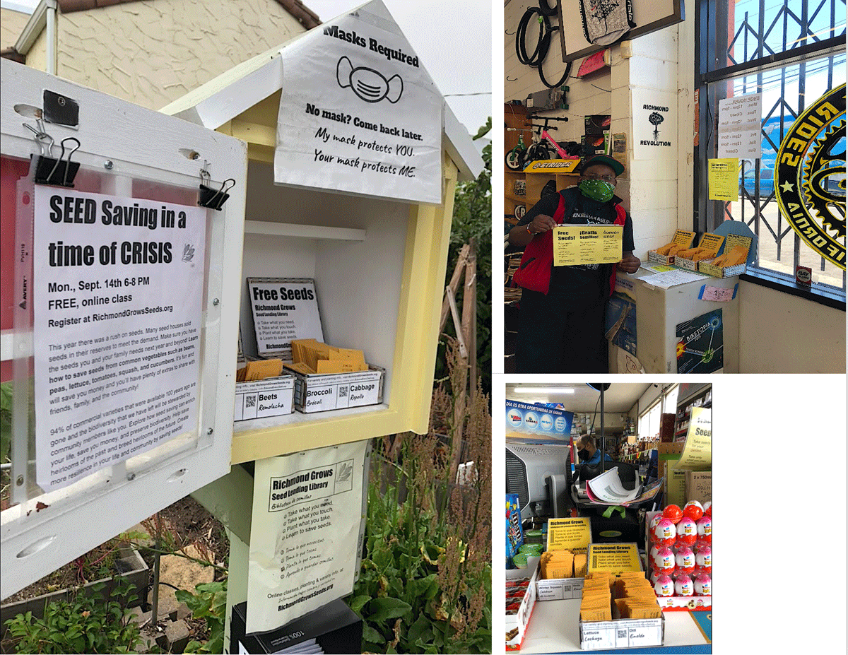 Tiny Free Seed Libraries (TFSLs) established by Richmond Grows Seed Lending Library (RGSLL) in Richmond, CA in response to the COVID-19 crisis, 2020