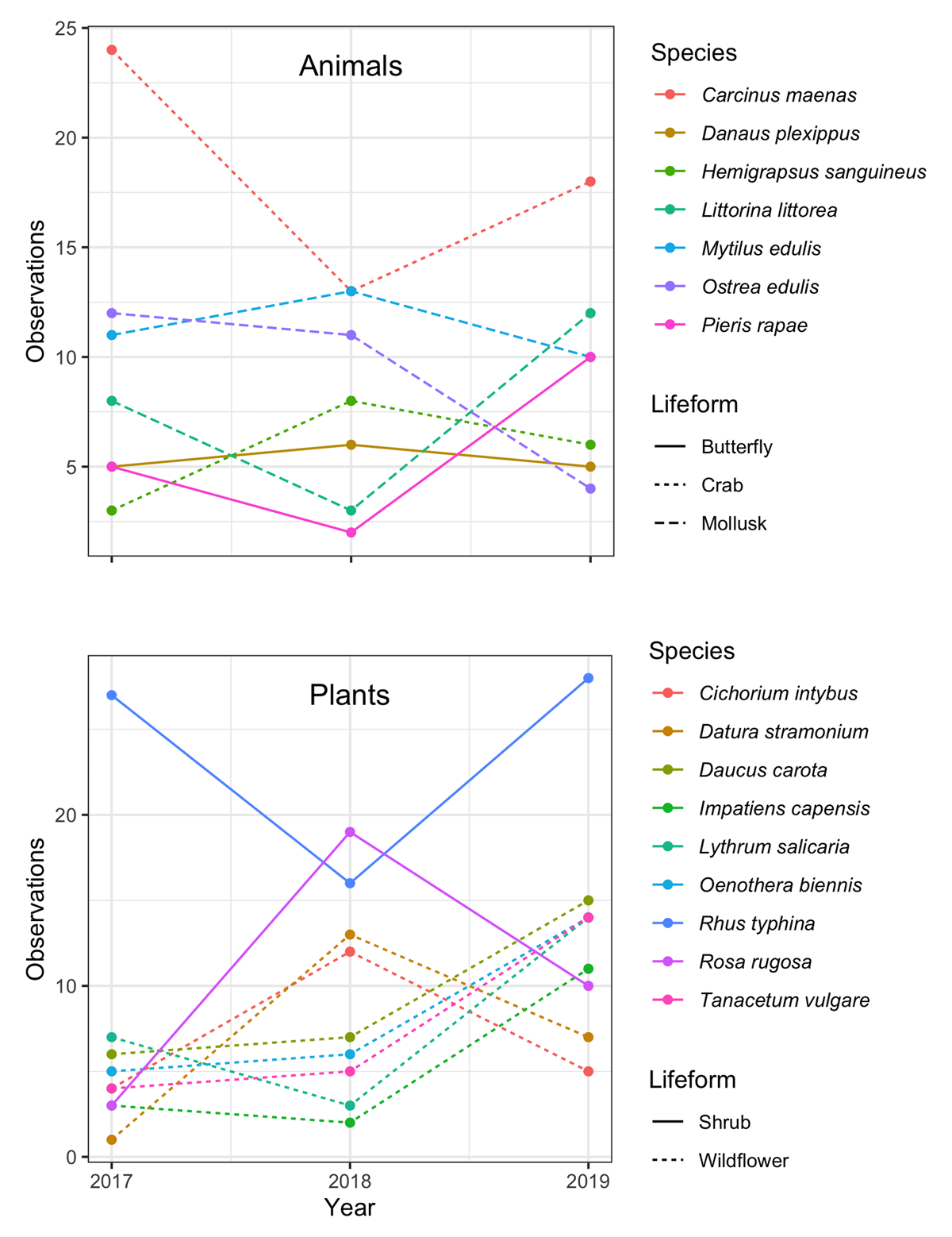 The most common species and life forms of animals and plants found across three years of sampling