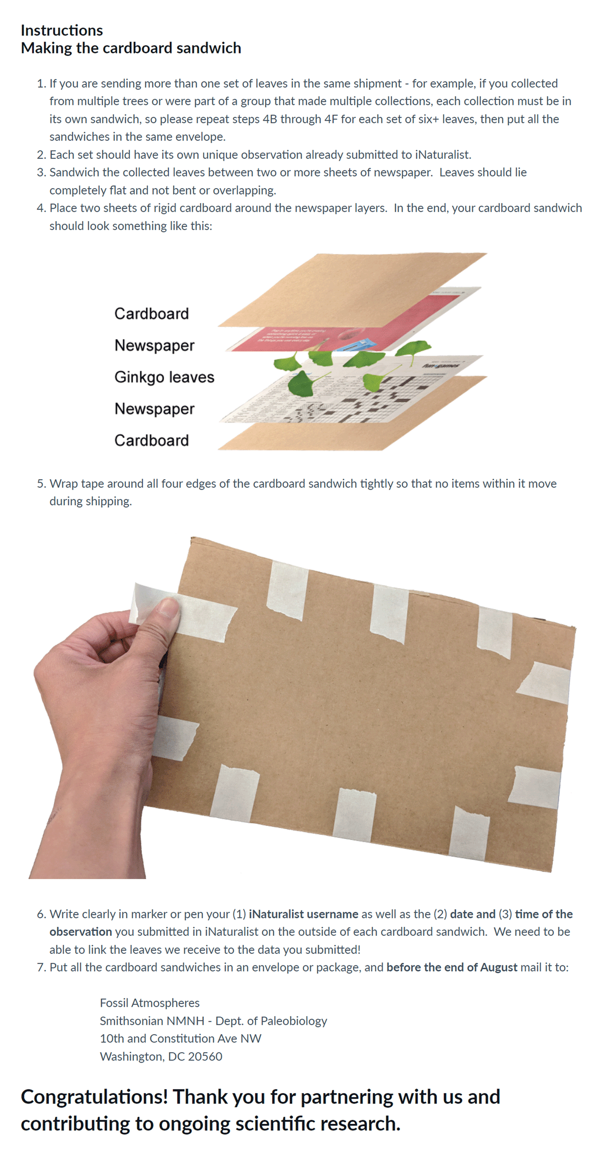 An excerpt of the protocol instructions detailing how to create