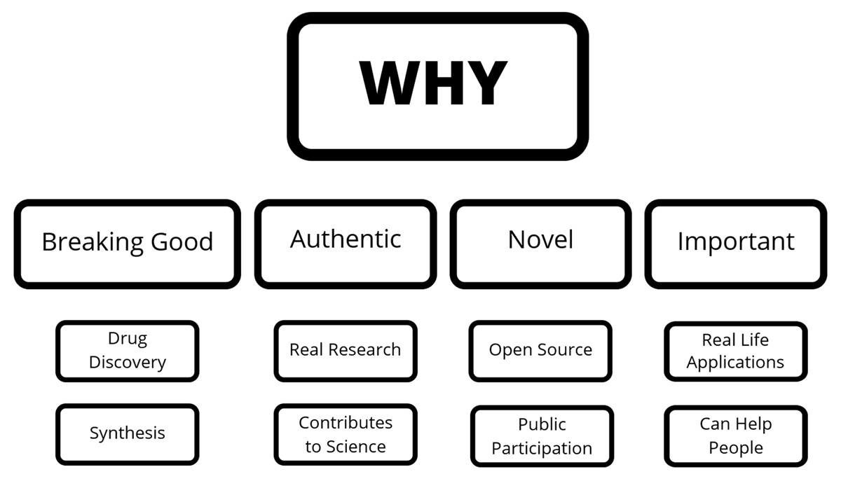 The unique project characteristics