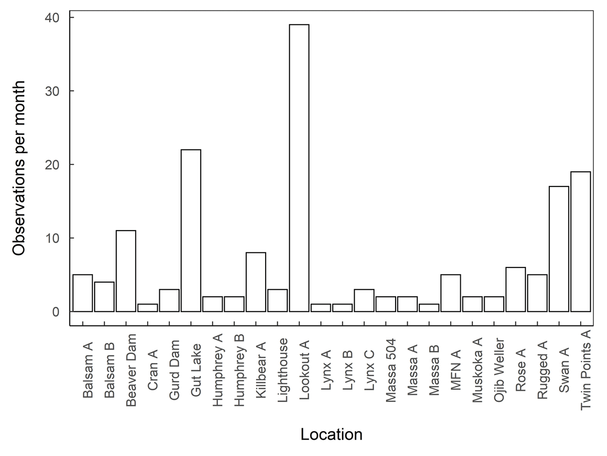 Bar graph displaying average observations per month at each station