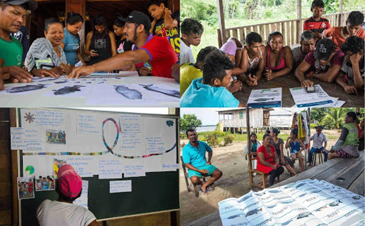 Four photos of local activities, where people are gathering around workshop materials