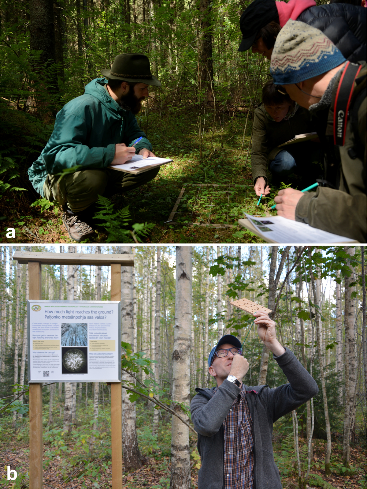 Photos of participants in the two forest ecology activities