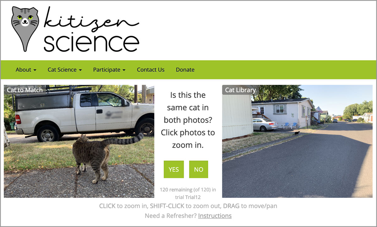 A screenshot of our study website that presented volunteers with two cat photos for comparison. Users could zoom/pan to explore detail
