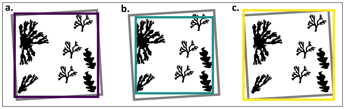 Visualisation of the three methods of digital grid placement used to generate digital estimates of total algal percentage cover