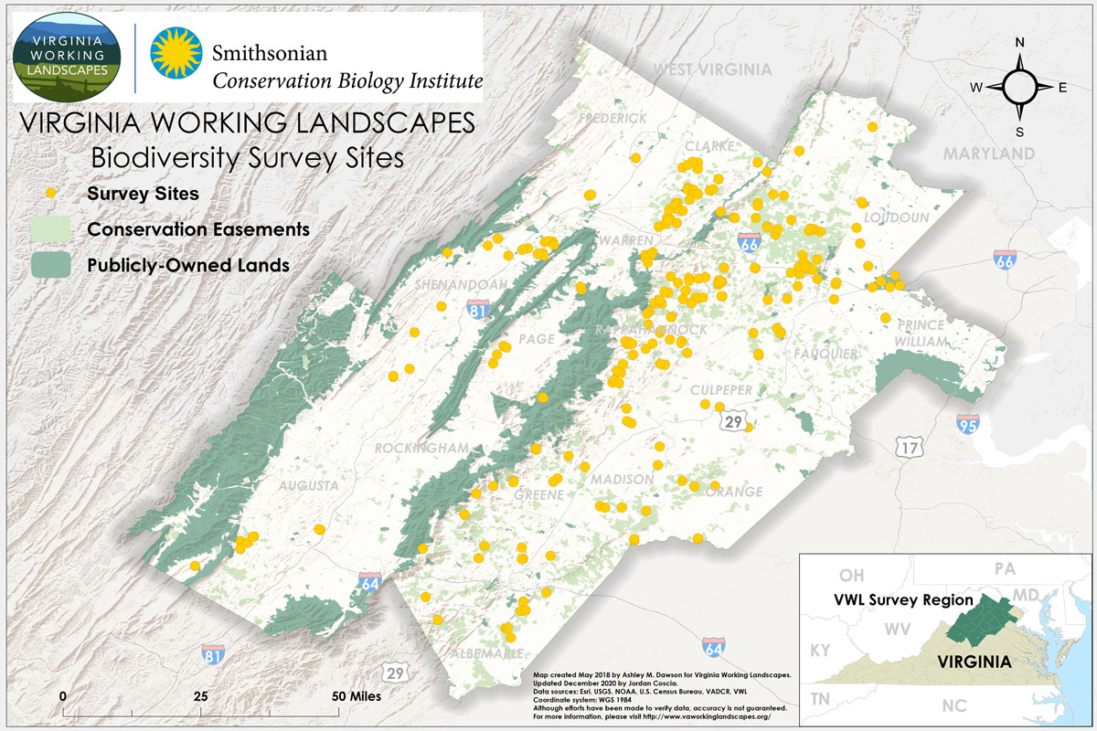 Map of northern Virginia with Virginia Working Landscapes survey sites shown as yellow dots