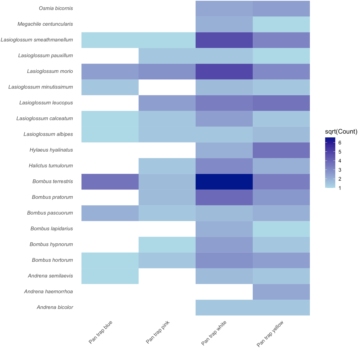 Abundance heatmap of twenty most abundant wild bee species. Based on count of bees sampled by pan trap colour (blue, pink, white, yellow). Square root transformed for visualisation purposes