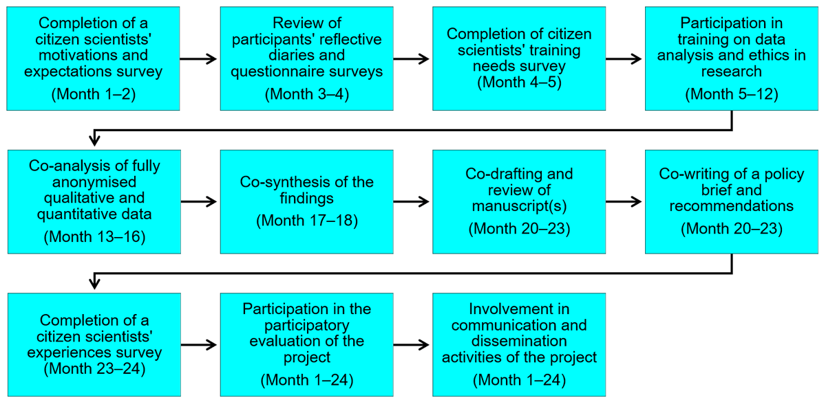 Citizen scientists’ activities and timeline