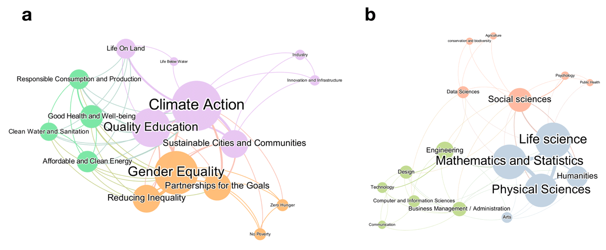 Description of the cohort: experience with SDGs and disciplinary background