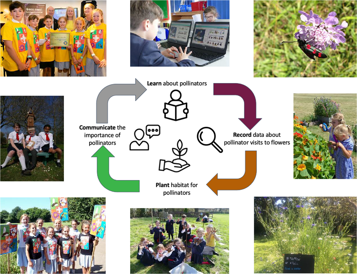 Children learning about pollinators on laptop, studying nasturium plants, showing dirty hands after digging plots, holding up poster boards campaignig for pollinator habitat and holding up an award they won for their efforts