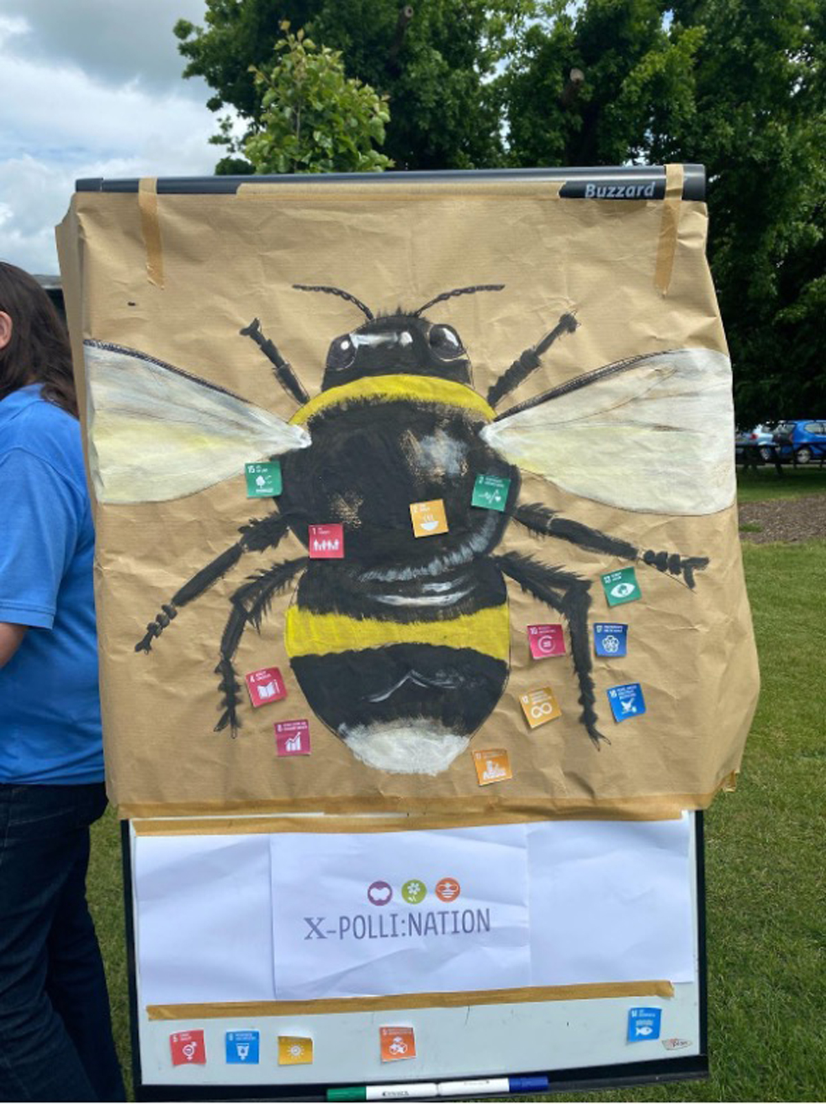 Painting of a bumblebee with stickers showing the relevant Sustainable Development Goals for pollination services