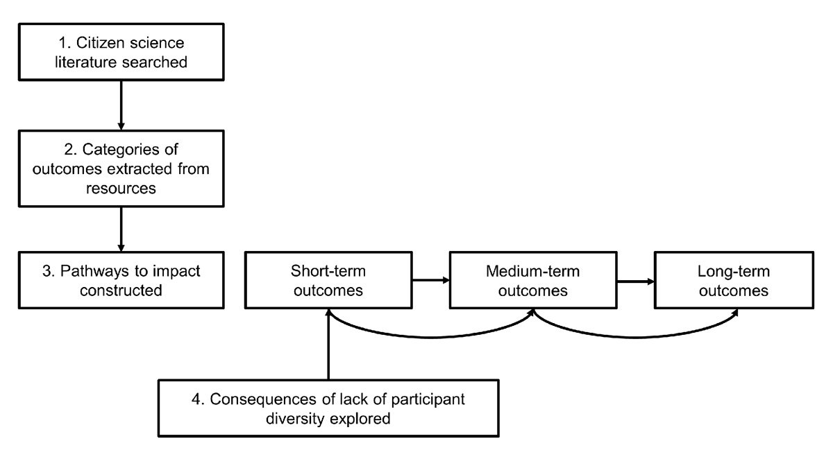 Boxes show the four stages of the study methodology