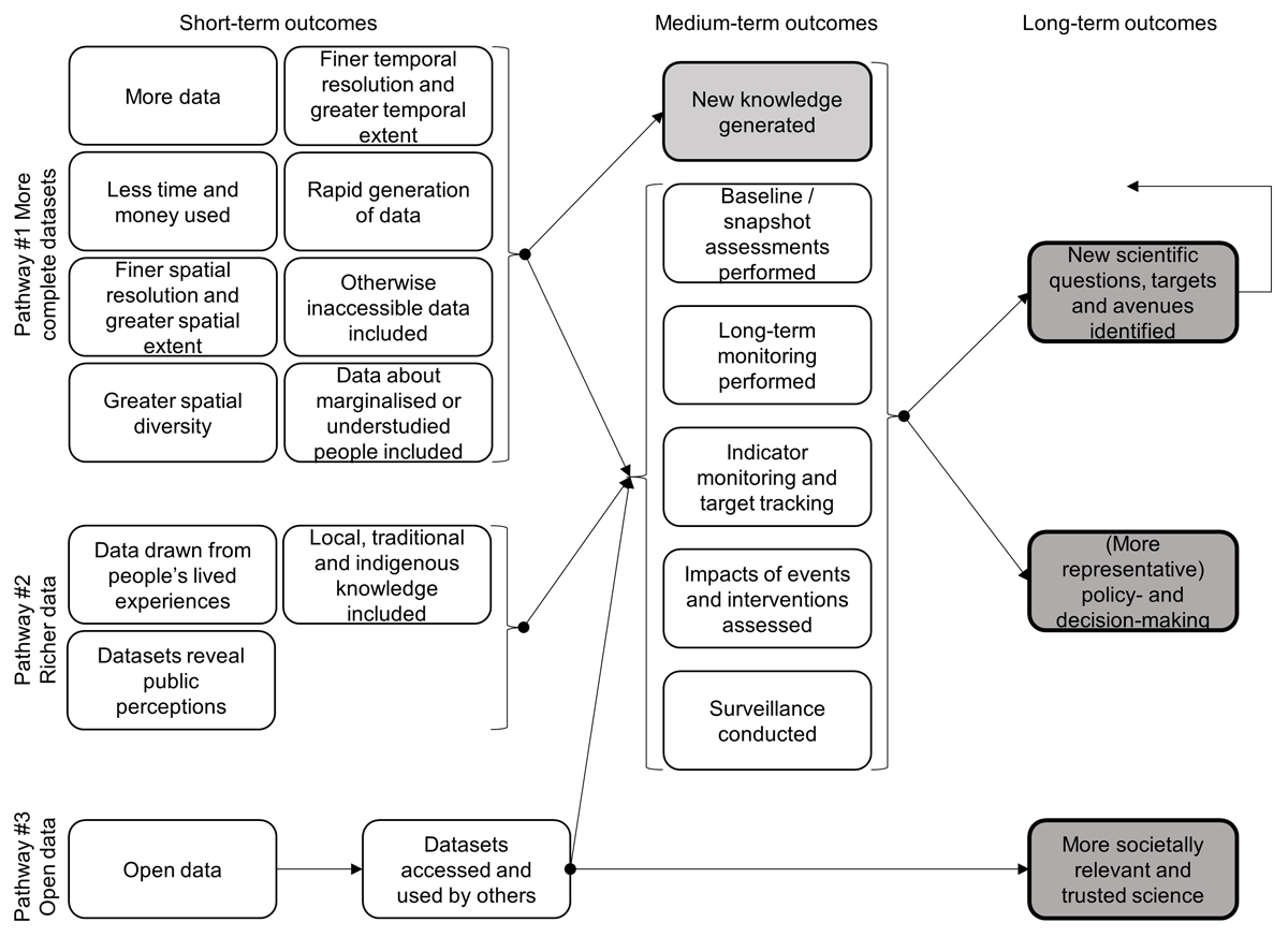 Outcomes are shown in boxes and arrows show their linkages