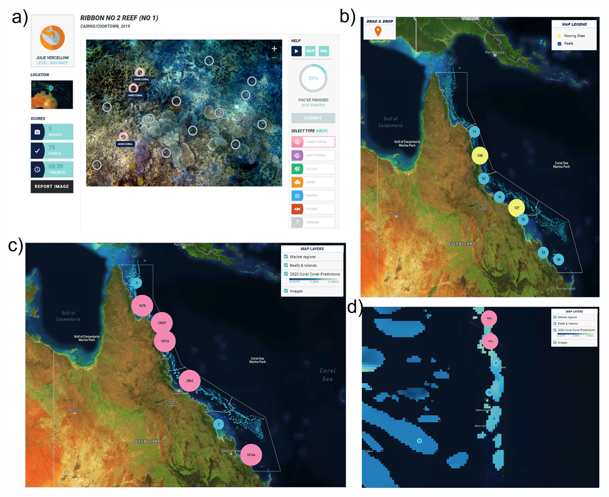 Main features of Virtual Reef Diver platform with (a) the classification module, (b) the map of the number of images contributed by the public, (c) the total number of images used for the modeling and (d) the predicted coral cover for the Great Barrier Reef