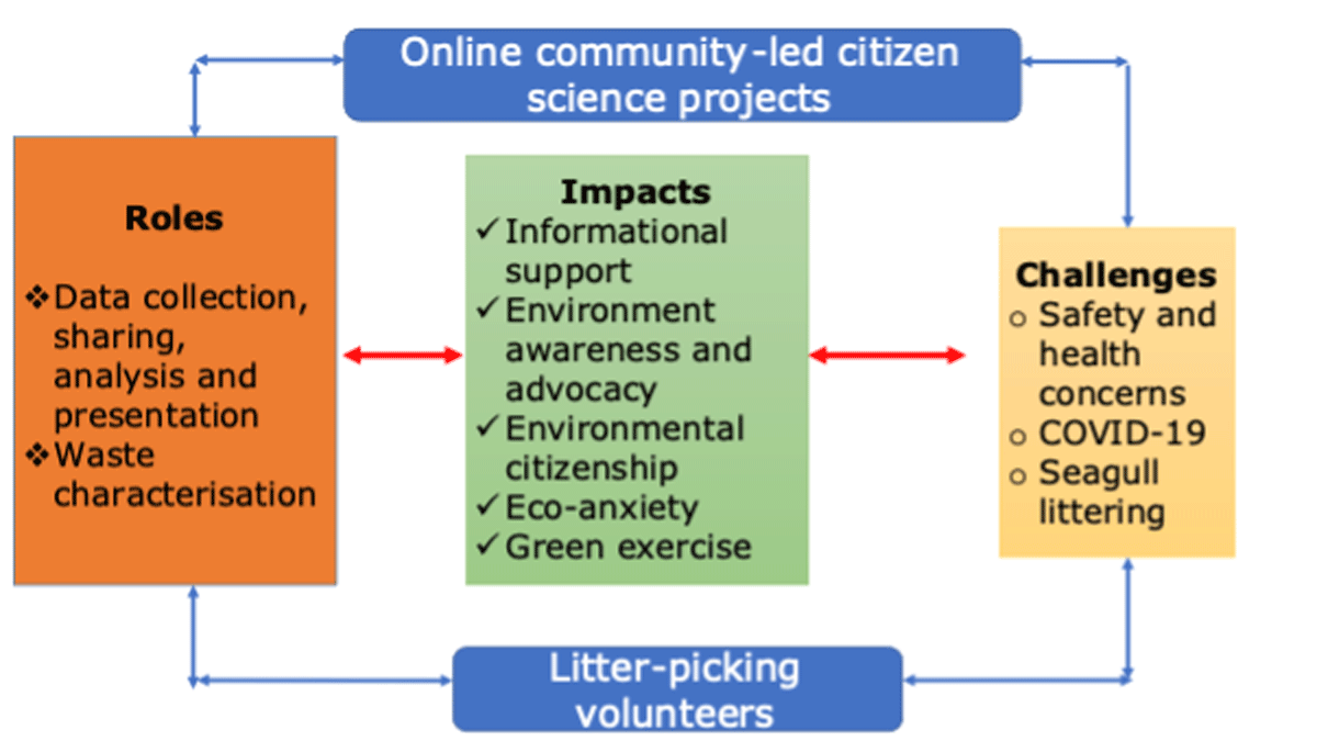 Framework on the role and impact of the online-led community citizen science