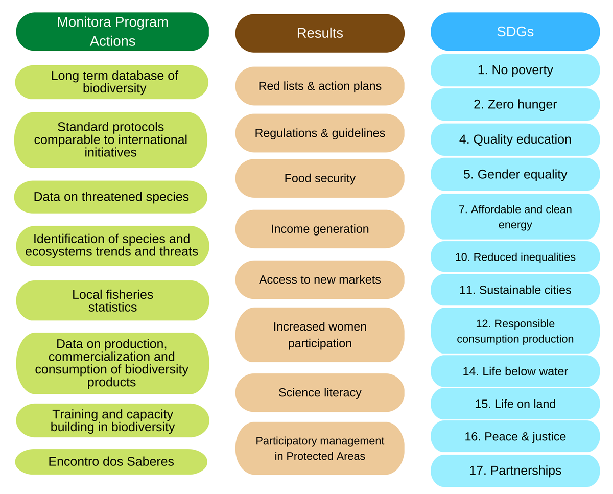 Schematic relationship between Monitora Program actions, intended and observed results, and Sustainable Development Goals