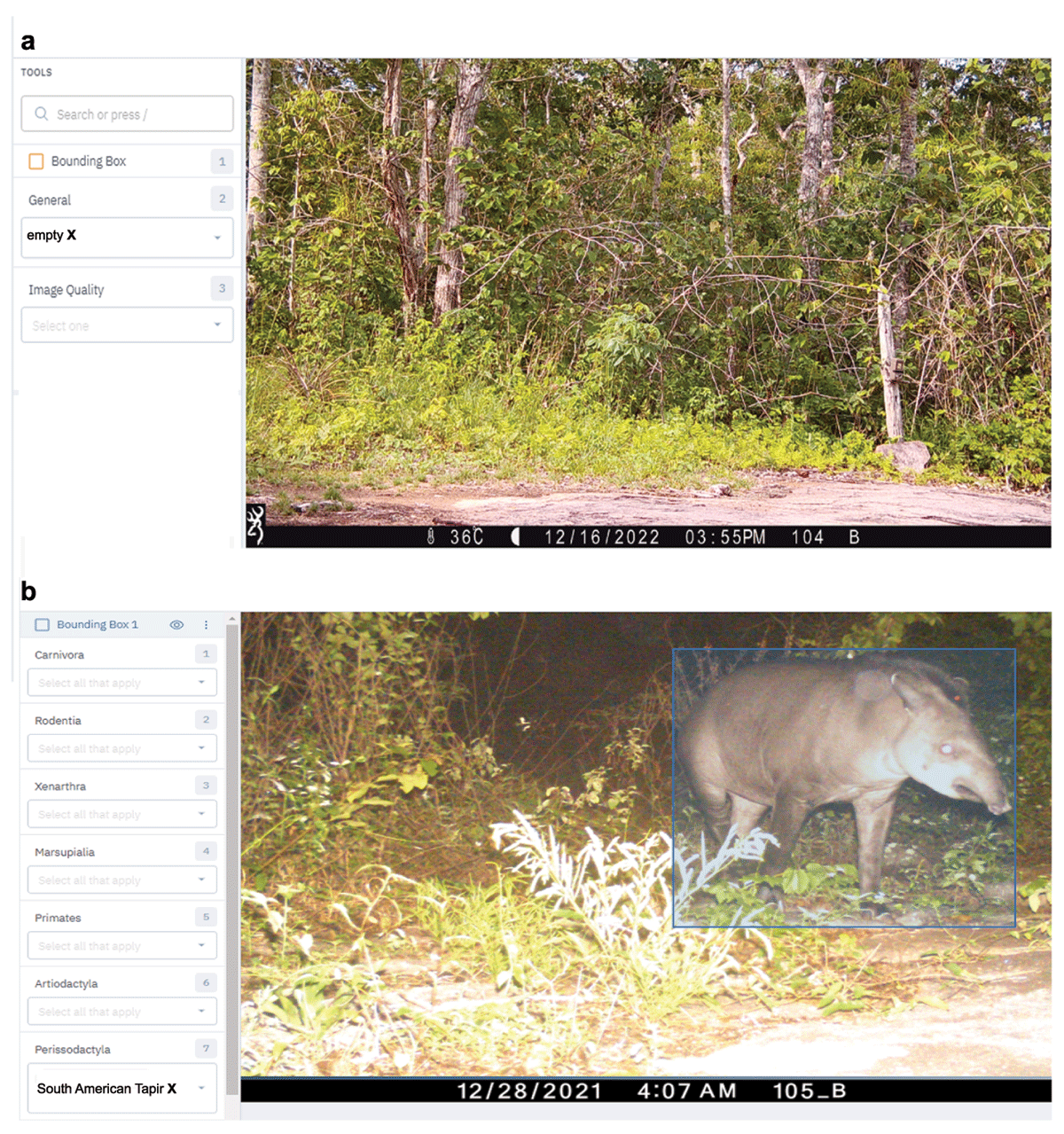 Screenshot of the WildLIVE! platform interface on labelbox.com