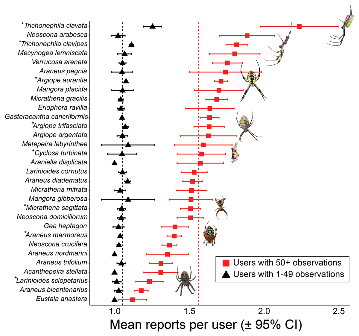 Number of observations reported for each species by individual users. Mean and 95% confidence interval is reported for users with more than 50 total observations and for users with less than 50 total observations. These two groups correspond with the top two thirds and bottom third of users by UES, respectively. Species represented with photos are marked with an asterisk