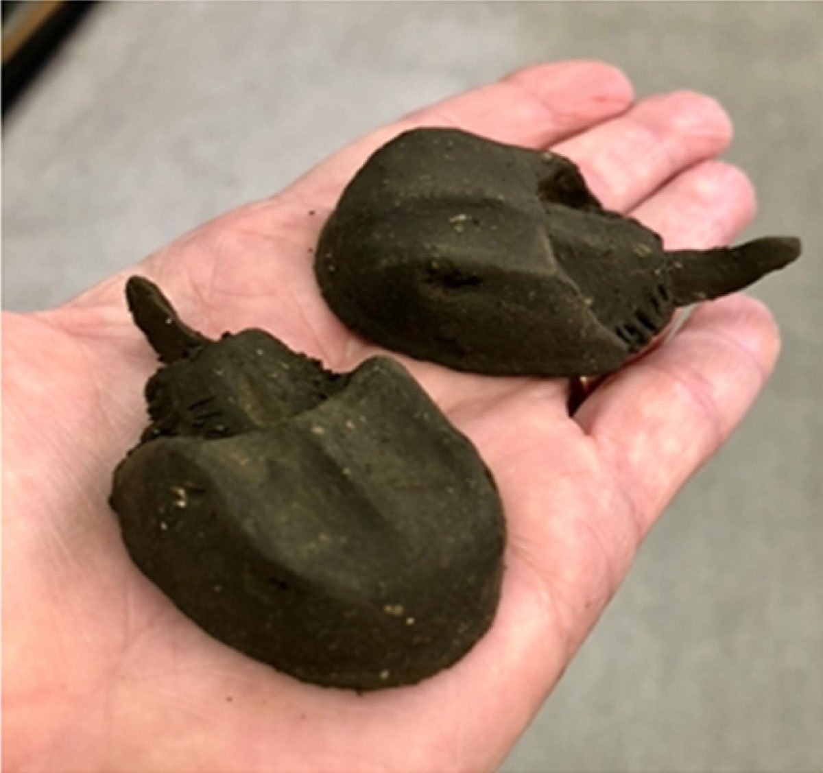 Clay crabs sculpted from mud made from algae