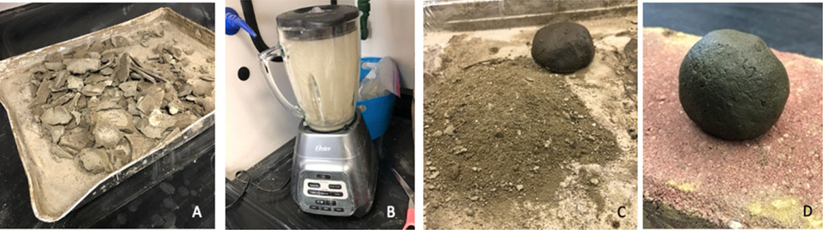 Process of converting algae into clay for ceramics