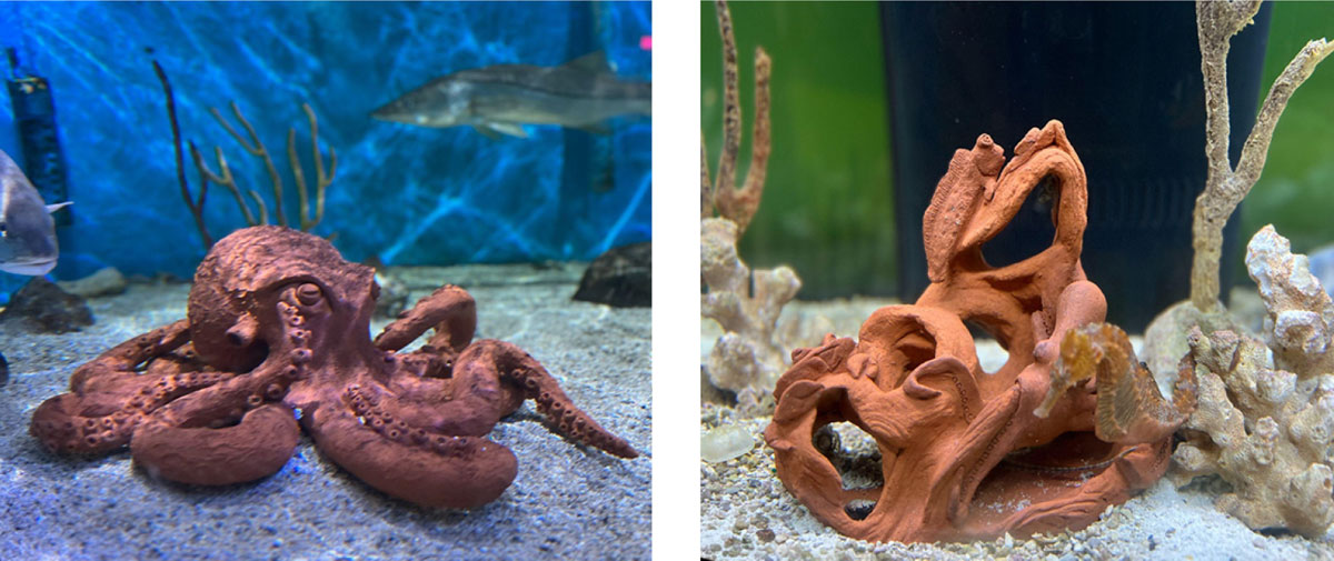 Sculptures made from algal waste clay on display at UGA Aquarium
