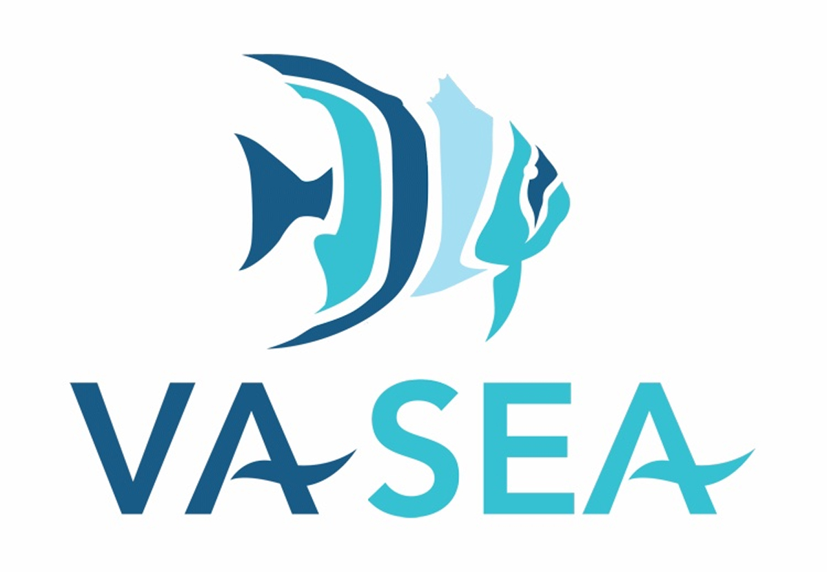 The Virginia Scientist and Educators Alliance logo which contains a spadefish in shades of teal