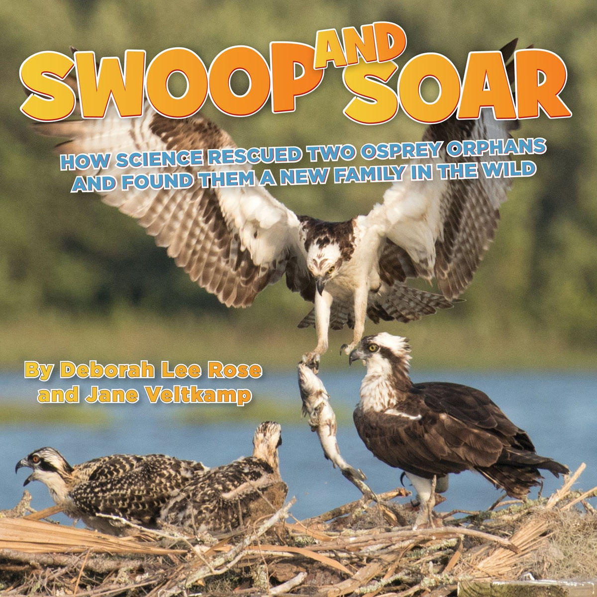 Book cover of Swoop and Soar