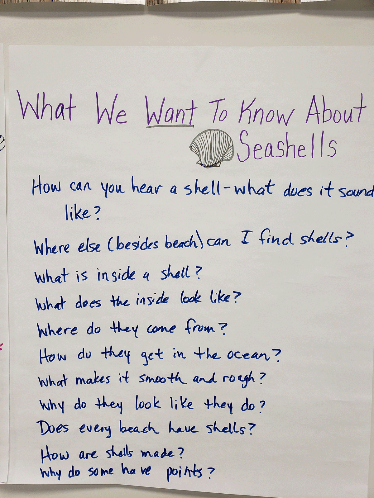 Class list of what students want to know about seashells