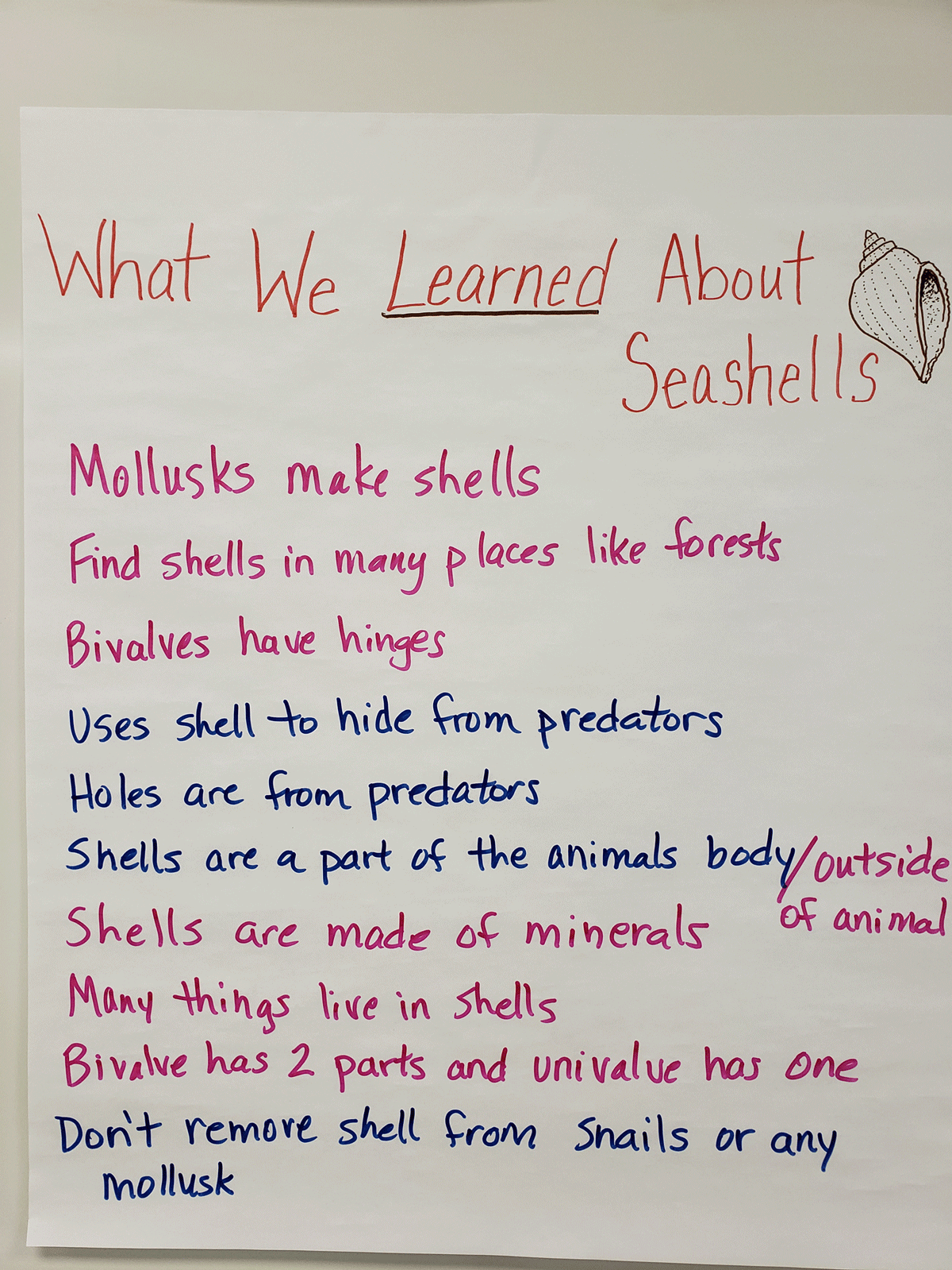 Class list of what they learned about seashells