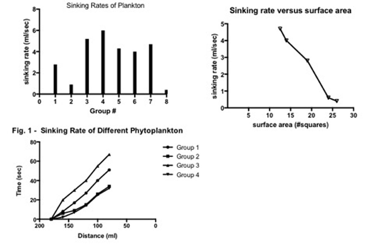 Examples of ways to graph the data