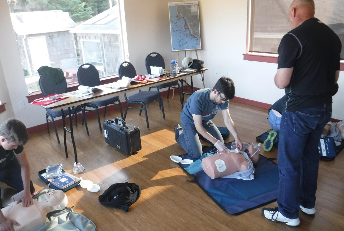 Students undertaking first aid training