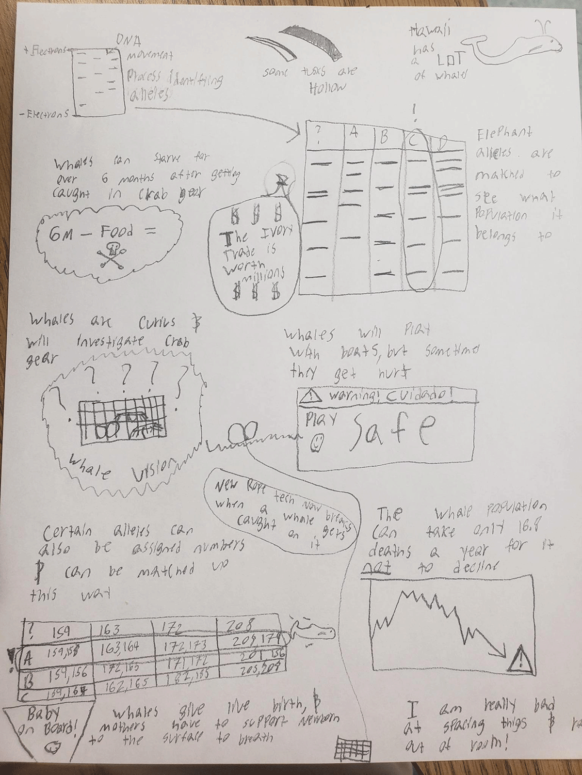 Figure Sample student responses to the final task on the assessment