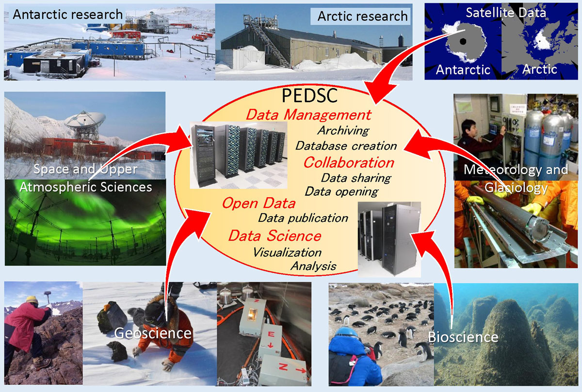 Tasks of the PEDC using the data from polar region