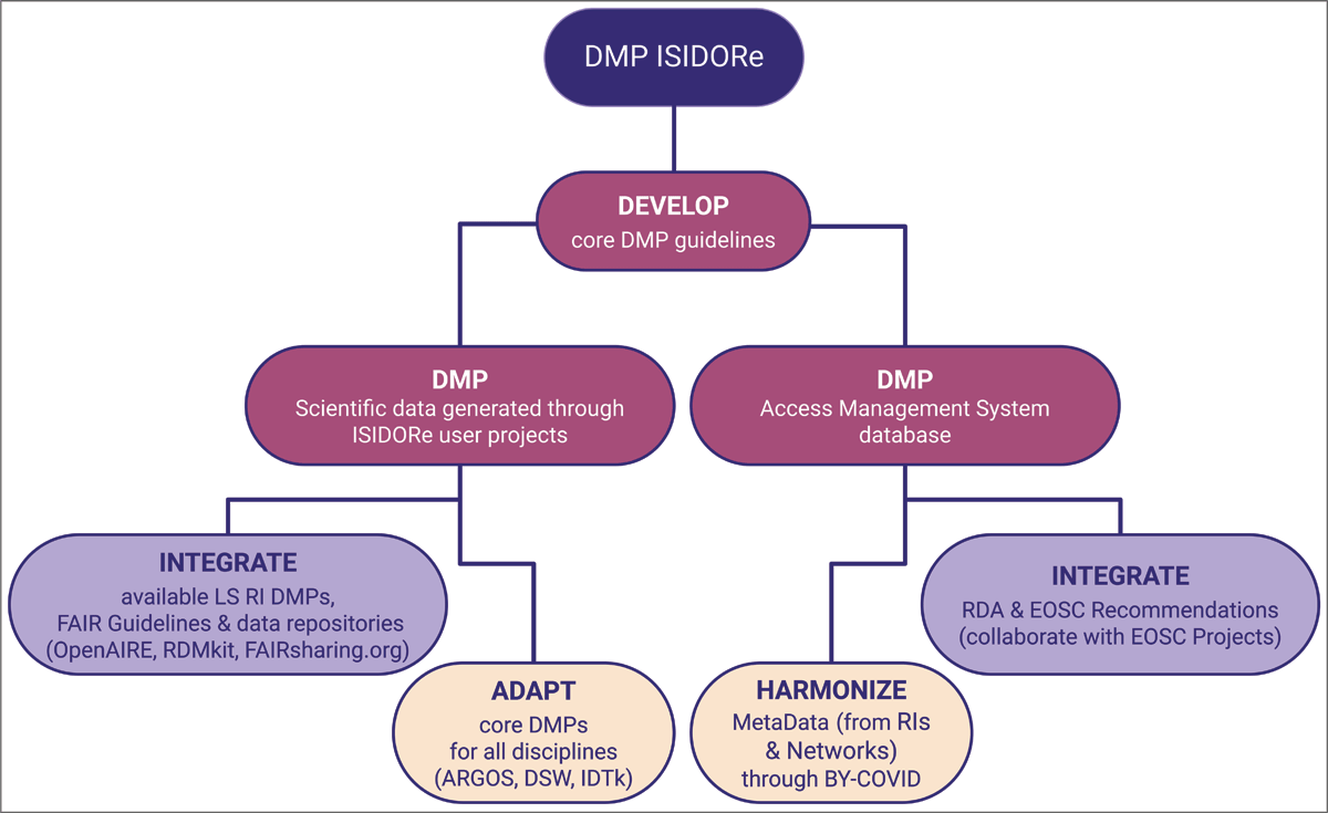 A tree diagram with two branches illustrating the two types of DMP in the ISIDORe project