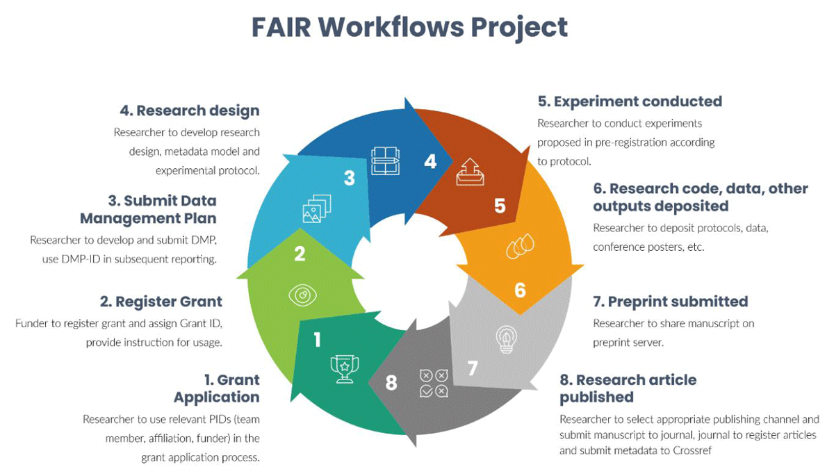 The FAIR Workflows implementation cycle. This illustrates the specific points along the research life cycle where the project builds PID-enabled system integrations