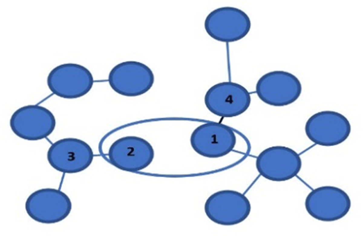 Formation of isolated subgroups within a cluster due to neighbor relations