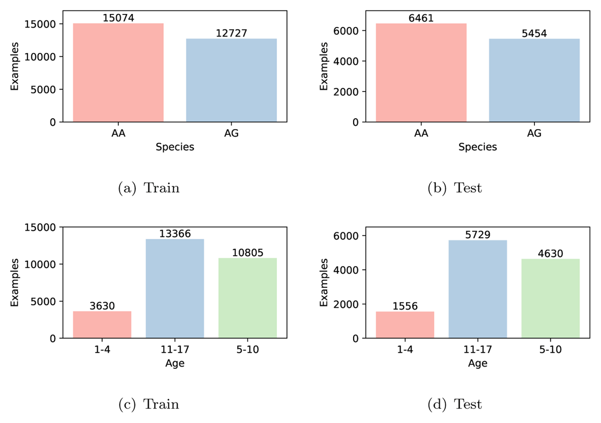 Class distribution into training and test sets for the tasks of species prediction (top) and age prediction (bottom). For species prediction, AA represents the species Anopheles arabiensis and AG represents Anopheles gambiae