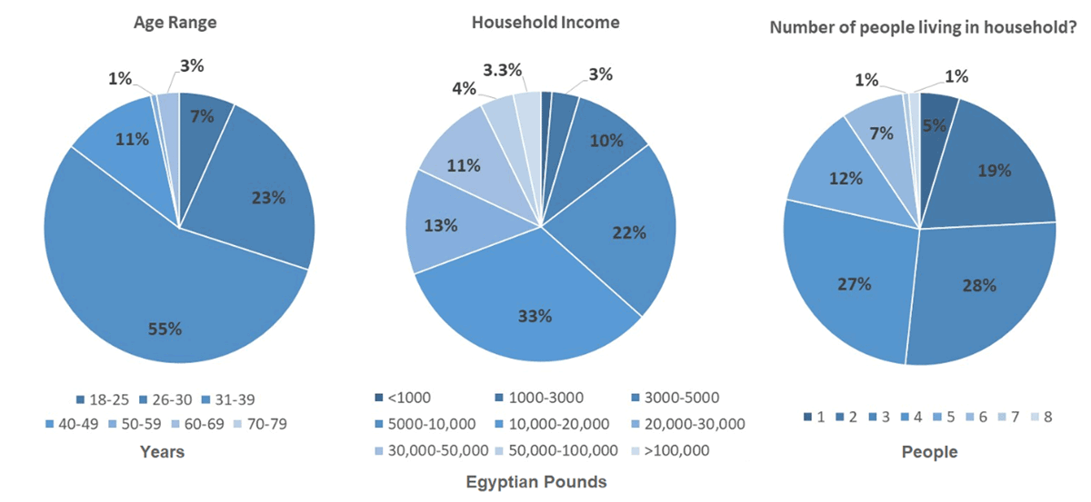 The chart on the left shows age groups of the questionnaire respondents