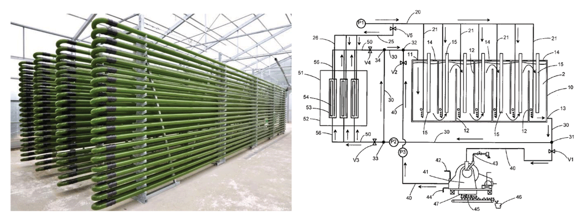 Algae Station (Keiun Kodo, 2000)