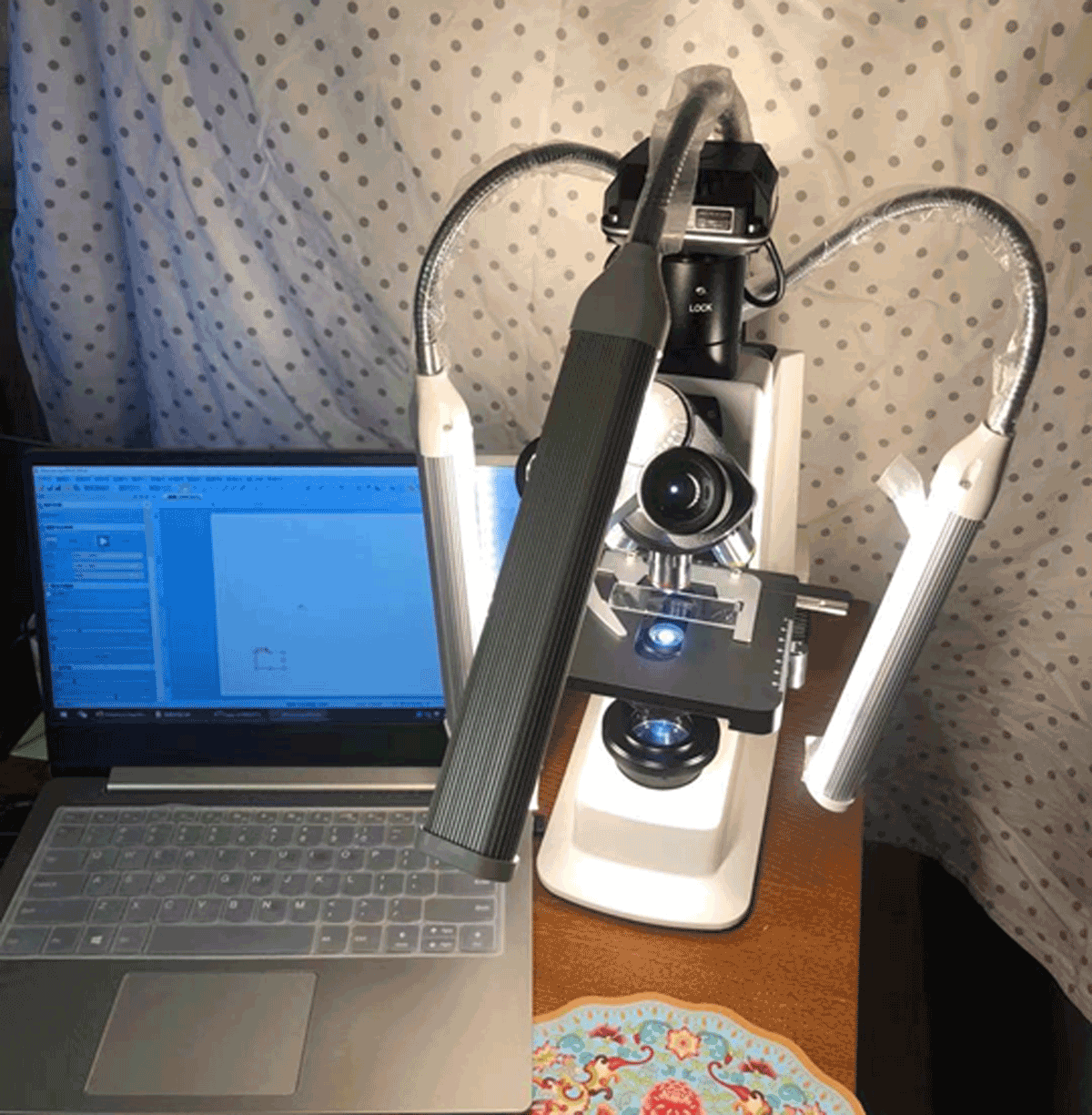 Image of the digital compound microscope