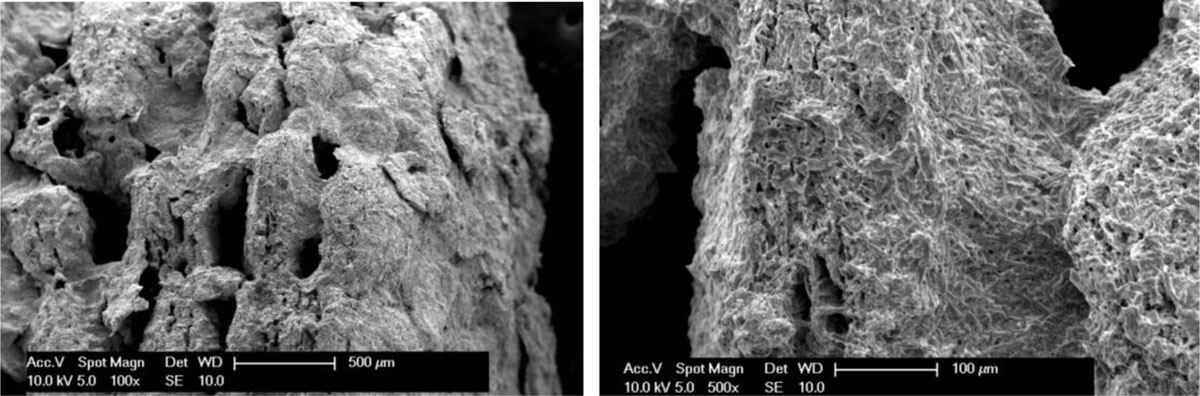 SEM photos of dried vermiculite based MgSO4-CaCl2 composite