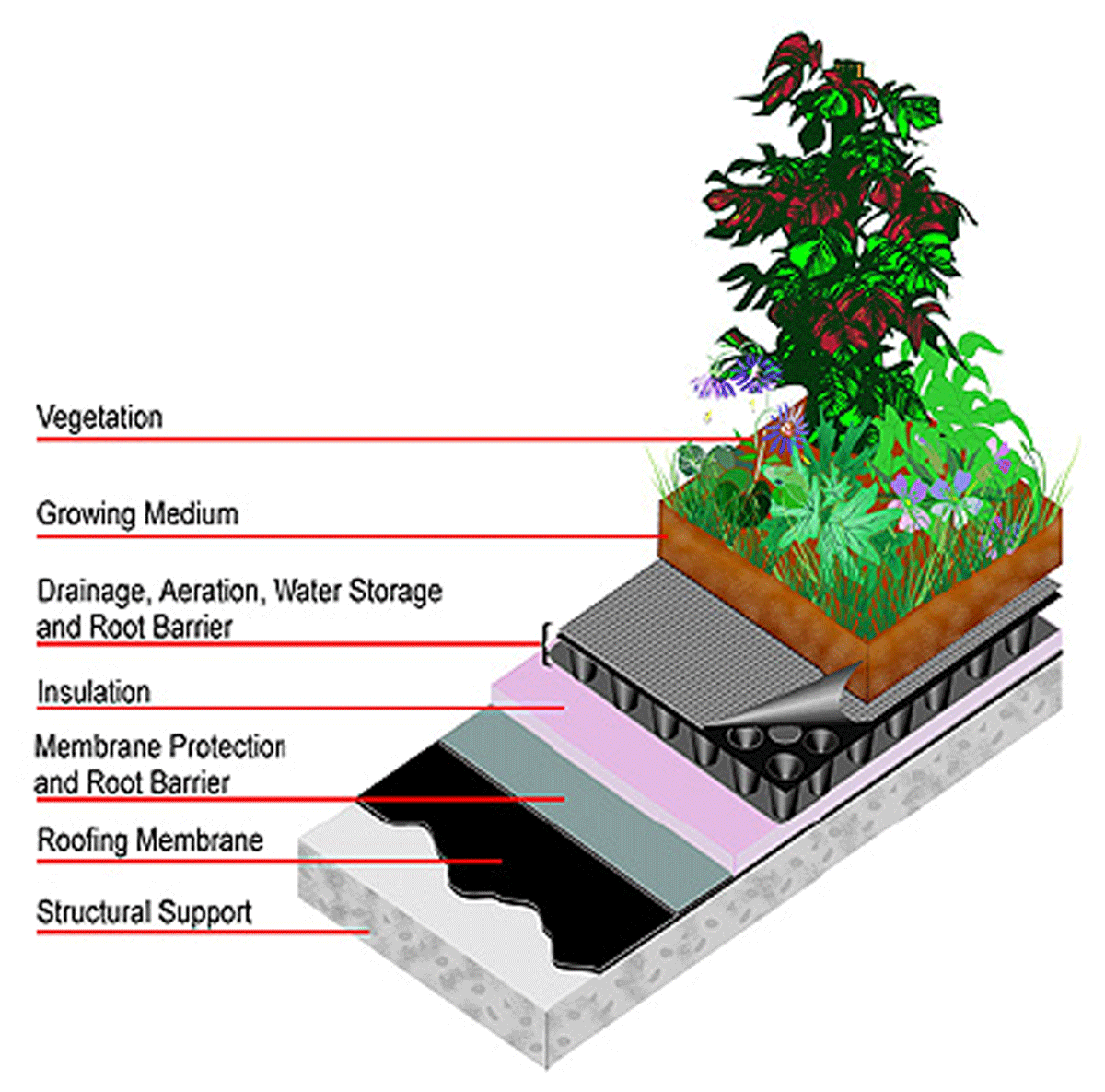 Depicts the various components of a living roof system (Latshaw et al., 2009)