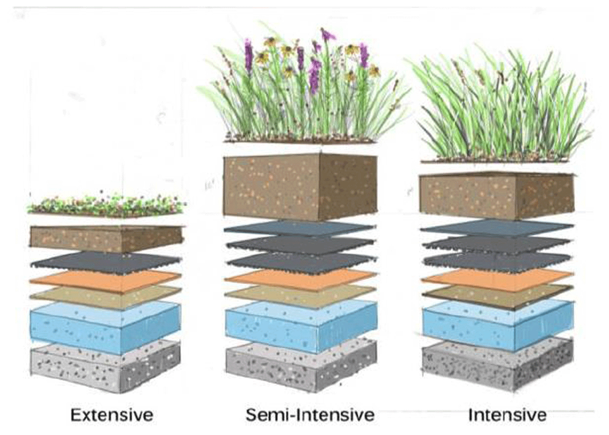 Intensive, semi-intensive and extensive types (Mohamed et al., 2019)