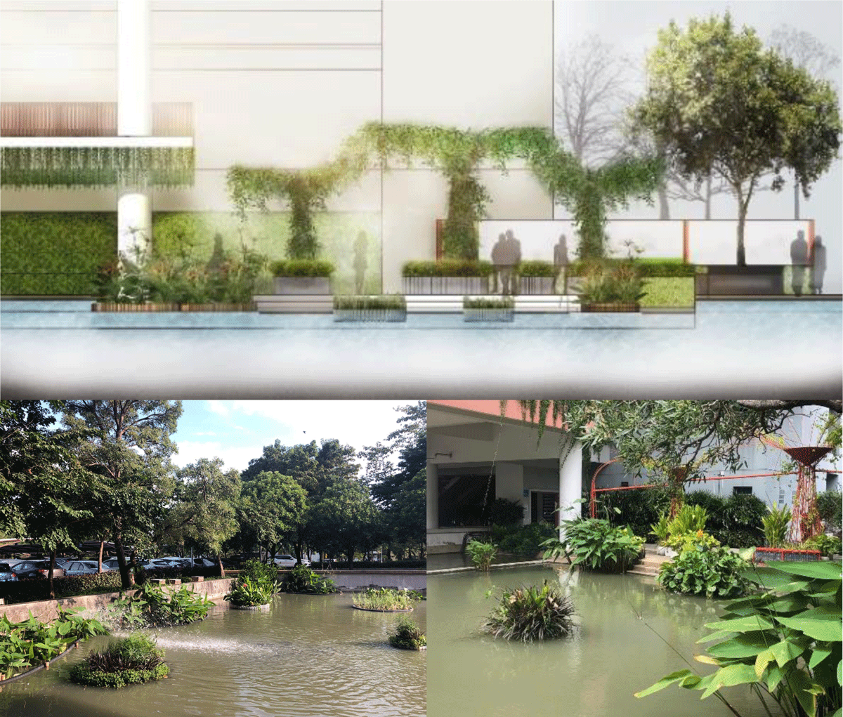 Floating wetland design and demonstration in front pond of Faculty of Architectureand Planning, Thammasat University, Pathum Thani, Thailand