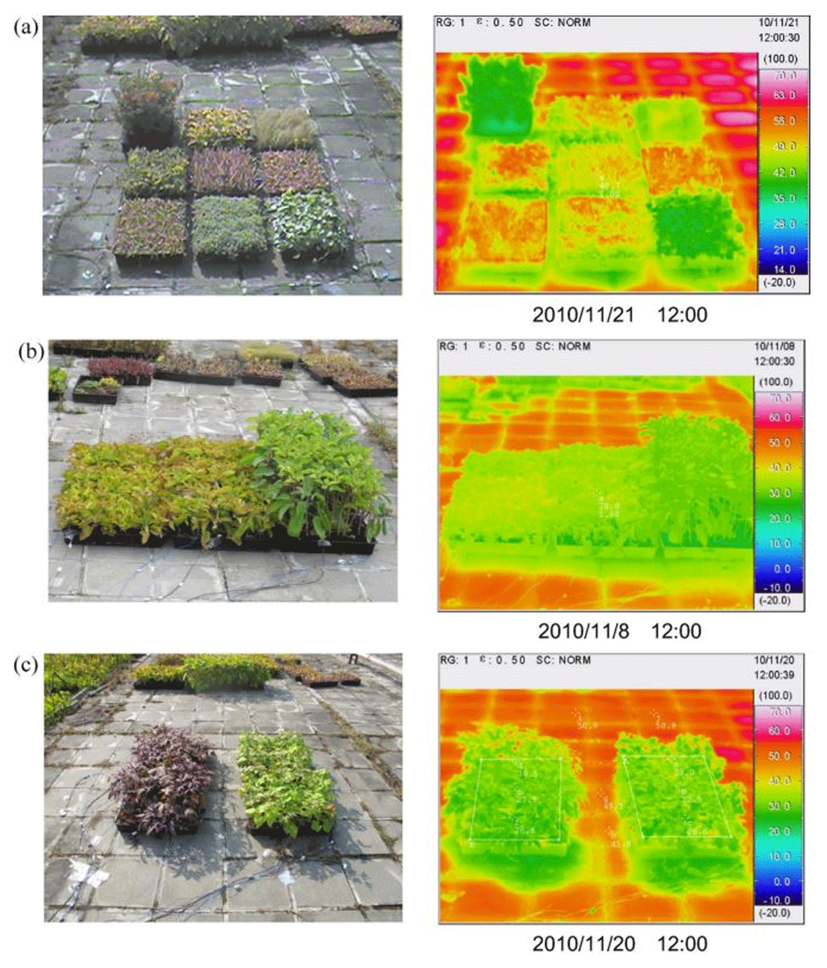 Thermal effect analysis of various plants using thermography by Liu et al., 2019