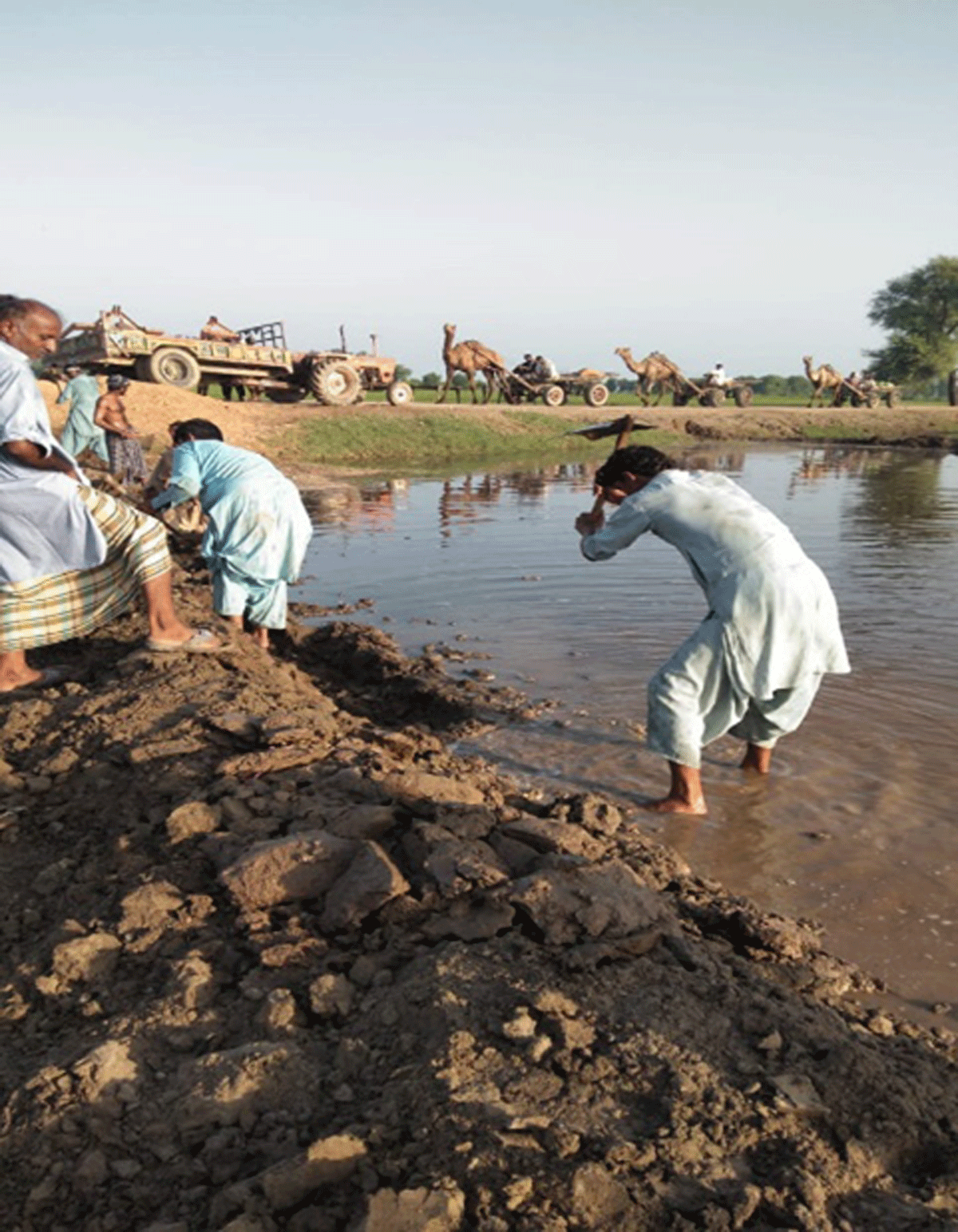 Building Flood Barriers in Dadu