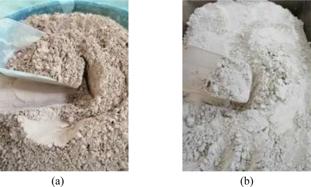 Conditioned wastes: (a) ceramic and (b) glass