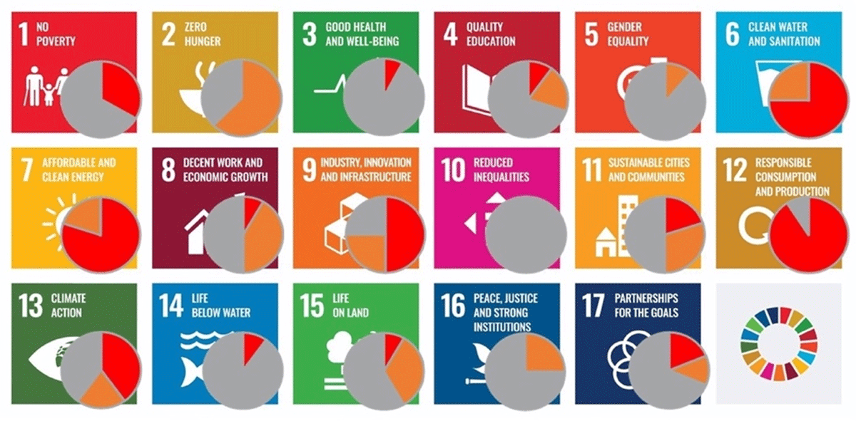 Figure 1 Contribution of a CE to the achievement of the SDGs.