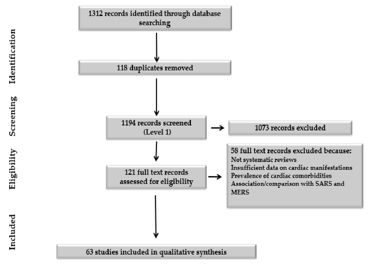 PRISMA flow diagram.