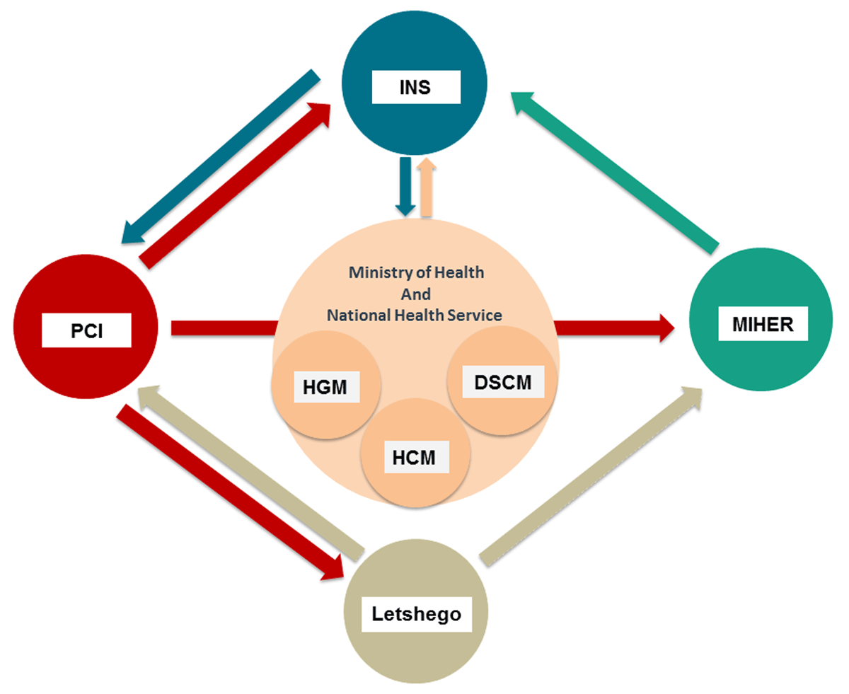 Global Health Multilateral Partnership showing Mozambique and UK stakeholders